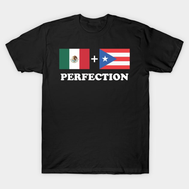 Aesthetic Mexican Plus Puerto Rican Perfection Funny T-Shirt by dewinpal